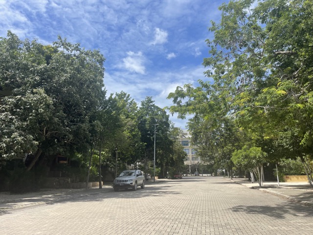 Street in the neighborhood