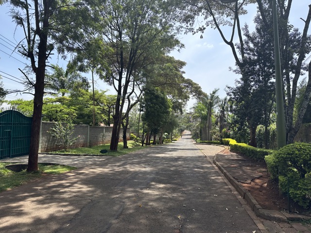 Leafy street in Nyari, Nairobi