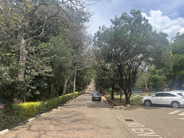 leafy street in westlands nairobi