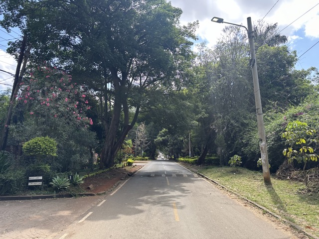 leafy street in westlands, nairobi