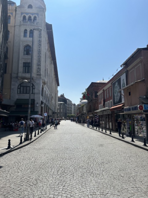 historical buildings in sultanahmet istanbul
