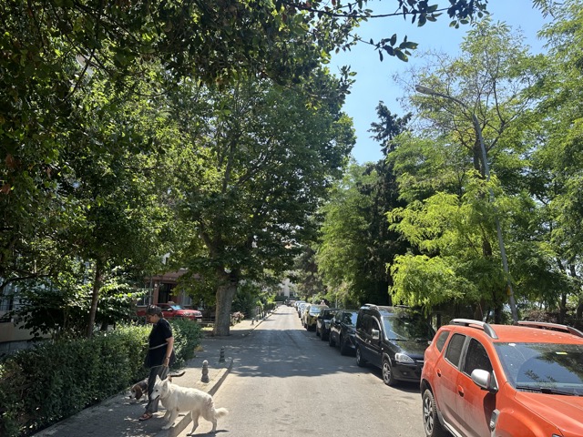 leafy street in moda, kadikoy istanbul