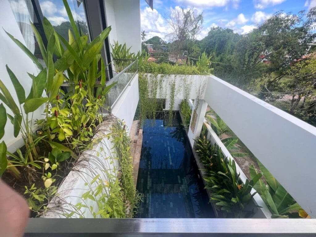 piscine entourée de verdure dans une villa Airbnb à Siem Reap